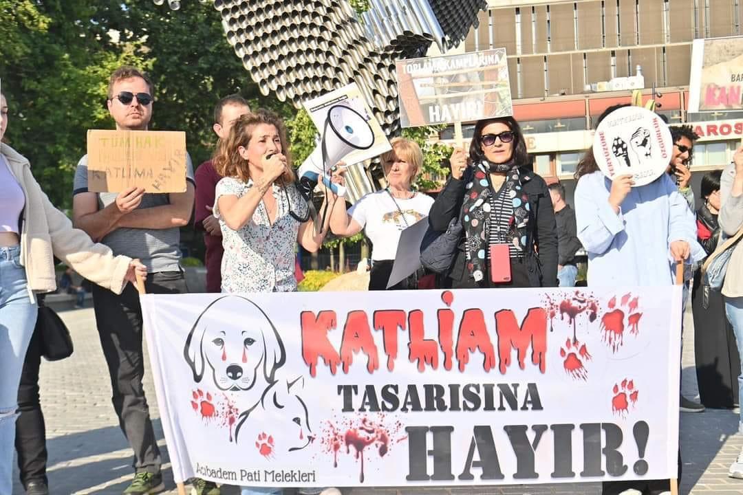 Beyzade Kayabaşı’ndan Katliam Tasarısına Karşı Eylem