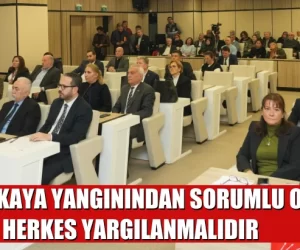 KARTALKAYA YANGININDAN SORUMLU OLAN HERKES YARGILANMALIDIR